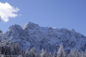 Vertatscha (2.180m) Grenzberg Österreich - Slowenien