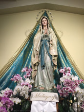 die Hl. Madonna in der Pfarrkirche