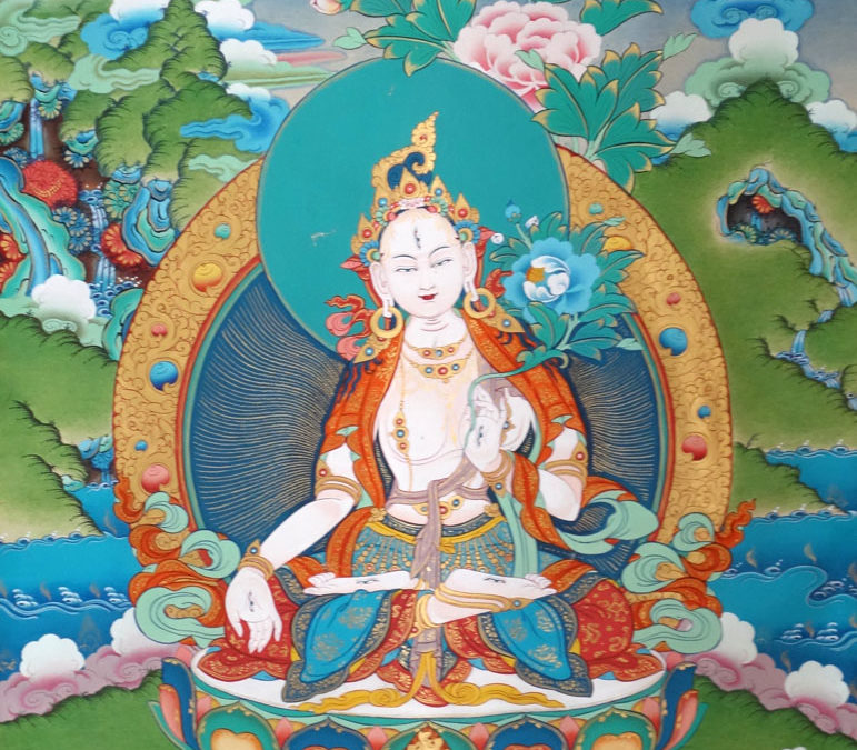 Tara 1080×771