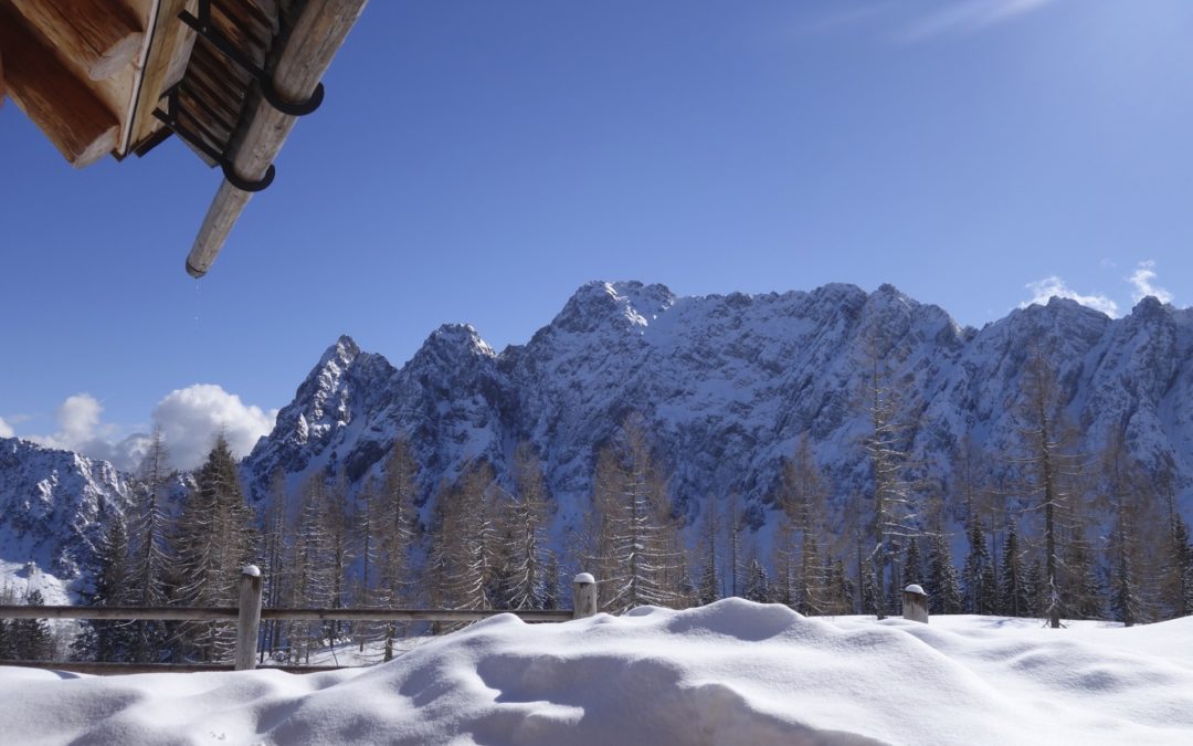 Bodental – Ogrisalm (1.567m) Karawanken, Schitour