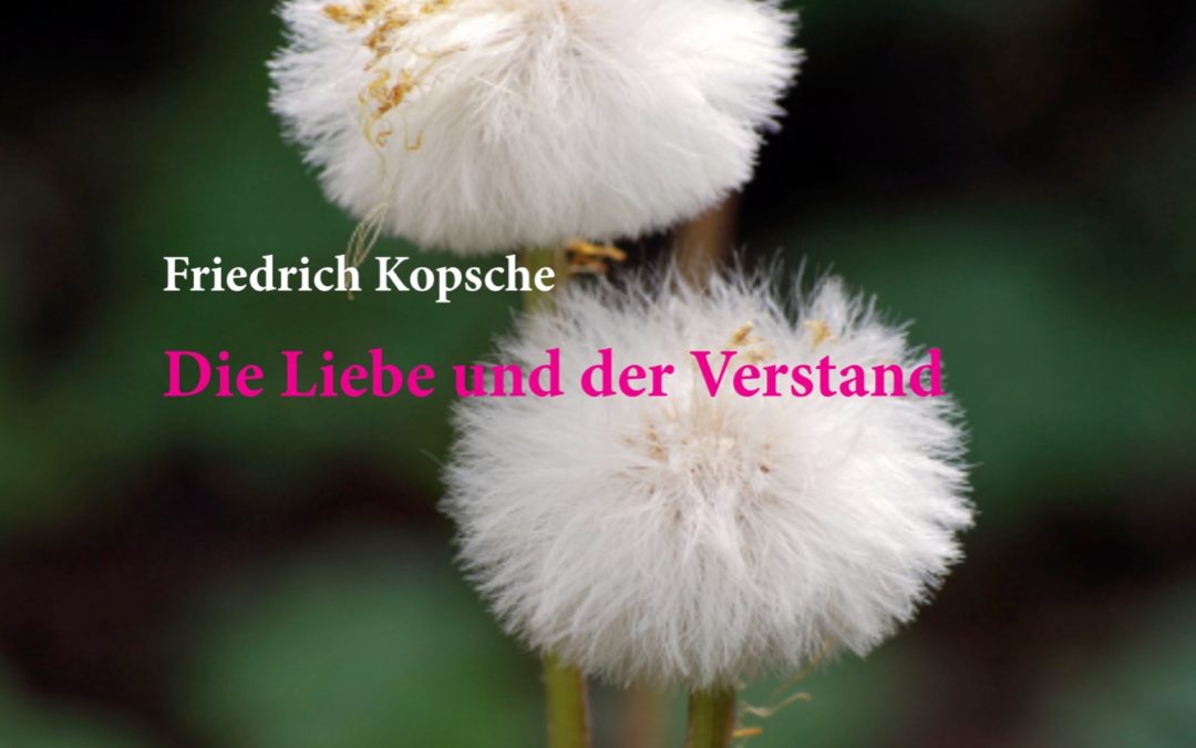 Cover Flibook_Die Liebe und der Verstand