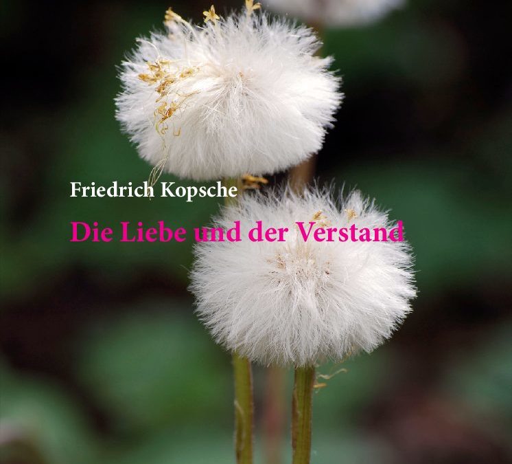 Die Liebe und der Verstand_02