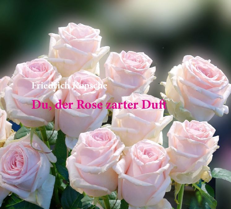 Du der Rose zarter Duft_02