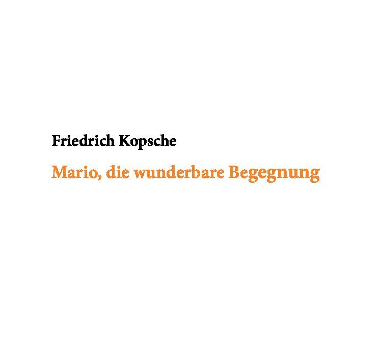 Mario_die wunderbare Begegnung