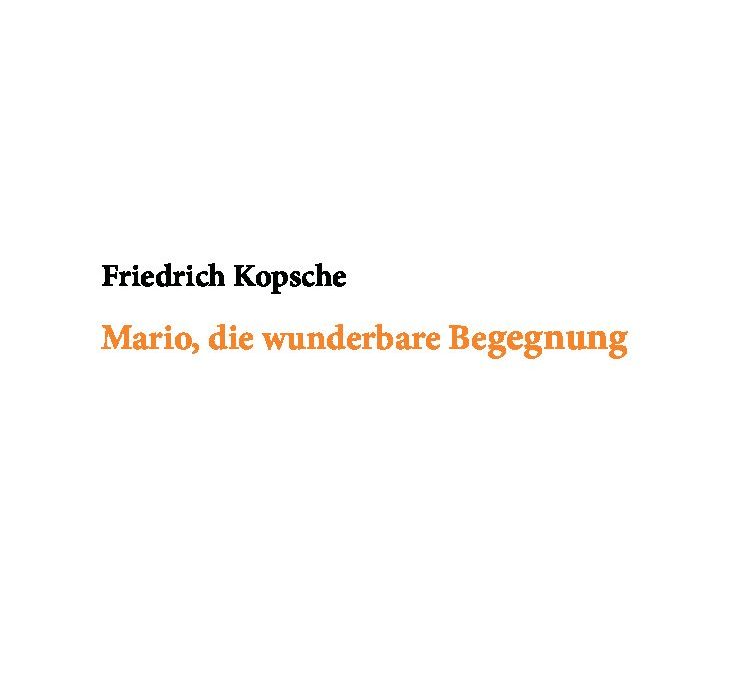 Mario_die wunderbare Begegnung