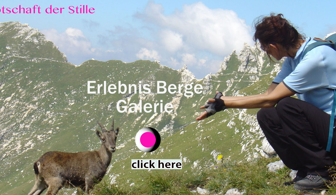 FB PIxel_Erlebnis Berge