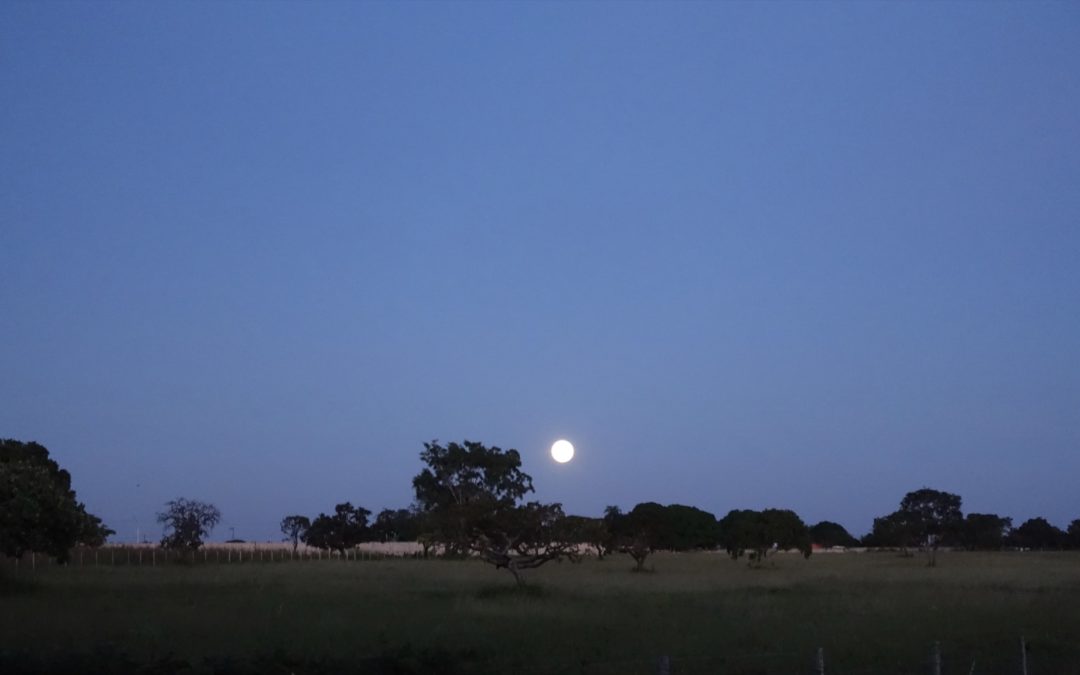 Anna und der Vollmond