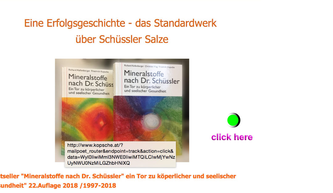 FB PIxel_Schüssler Buch