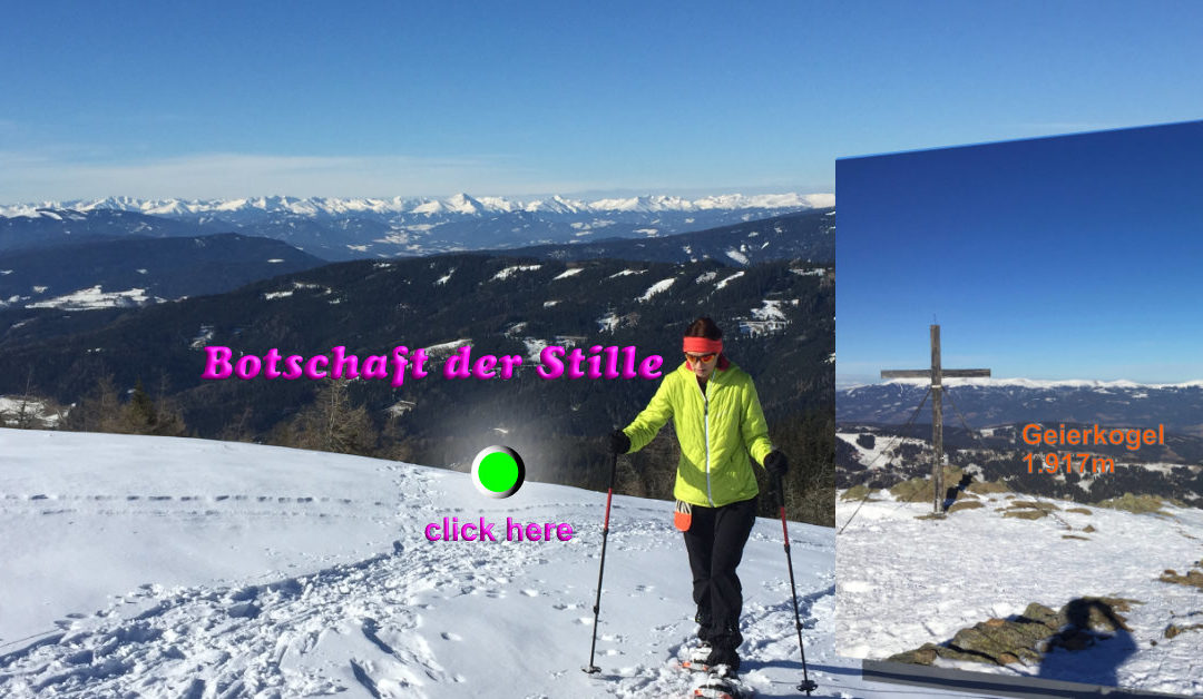 FB PIxel_Schneeschuhwanderung