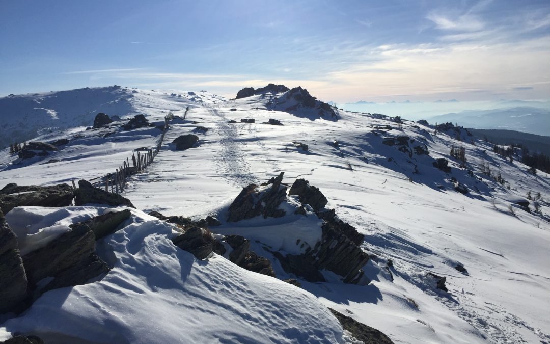 Geierkogel (1.917m) Schneeschuh Wanderung Saualpe