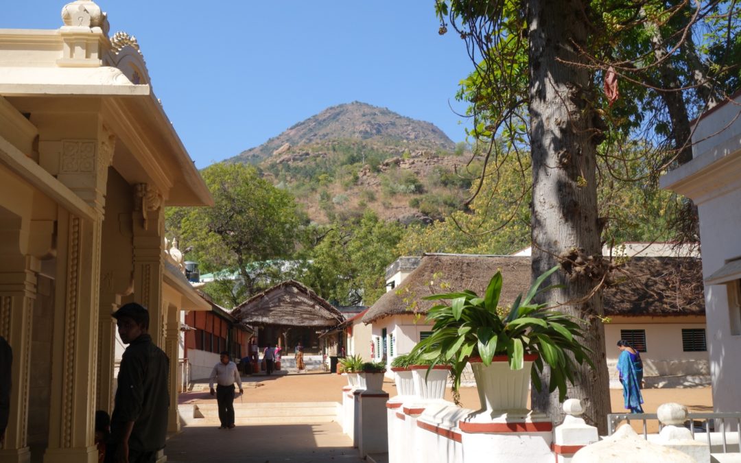 DSC00744