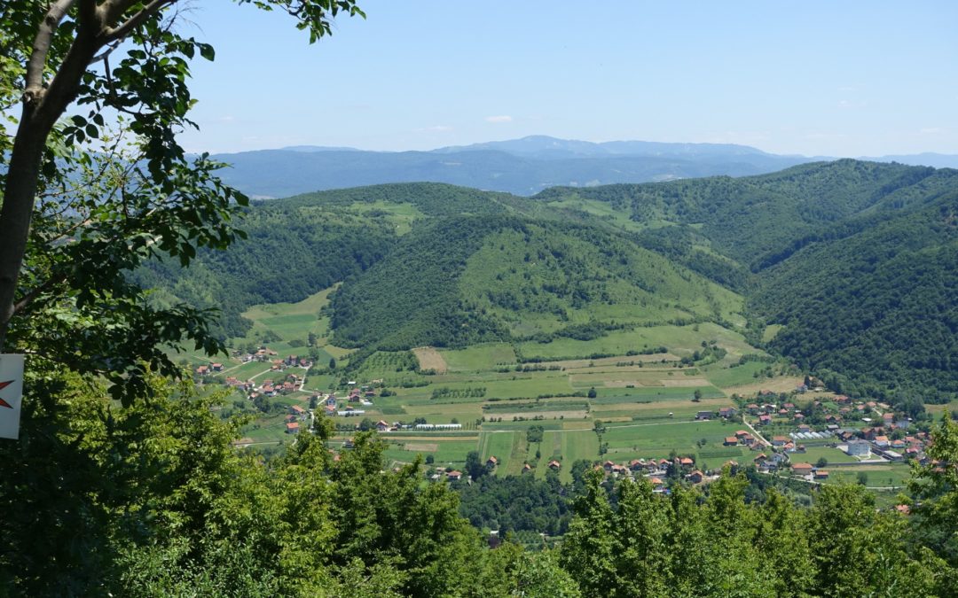 DSC02502
