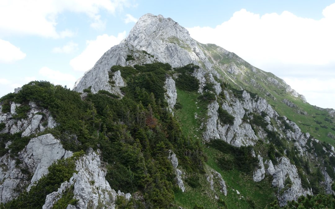 DSC06200