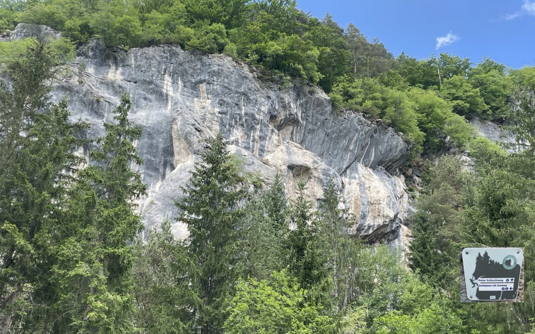 Sackgasse Klettersteig (D/E) Kanzianiberg, Kärnten