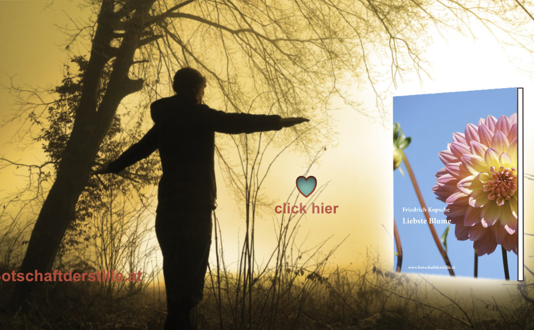 FB_aktuell Liebste Blume