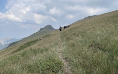 Peak Kamen (2.256m) Jablanica Gebirge Nordmazedonien