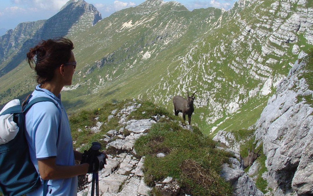 Cima di Terra Rossa (2.420m), Montaschgruppe, Italien