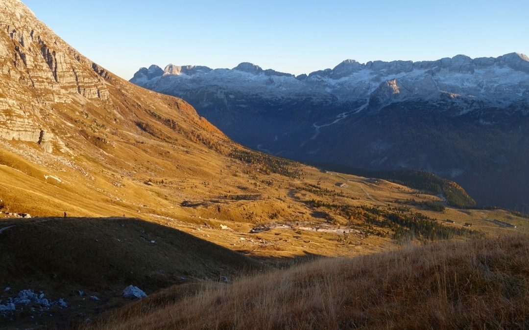 Forca dei Disteis (2.201m), Pecolalm, Steinböcke, Sonnenuntergang, Italien